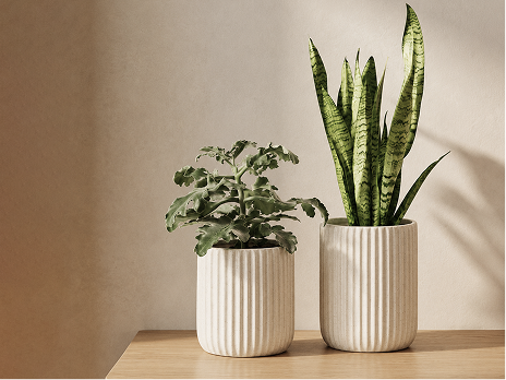Planters
