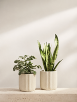 Fluted Stoneware Planter